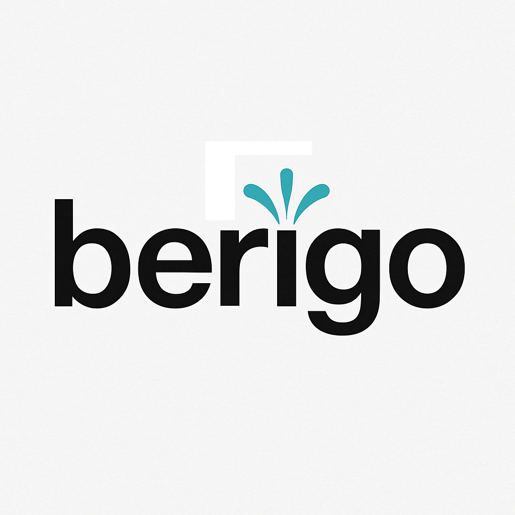 berigo reinigungsservice